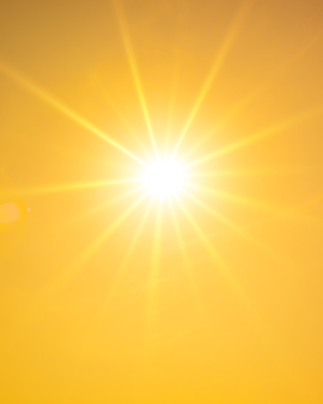 Regula hormonas y apoya la función inmunológica