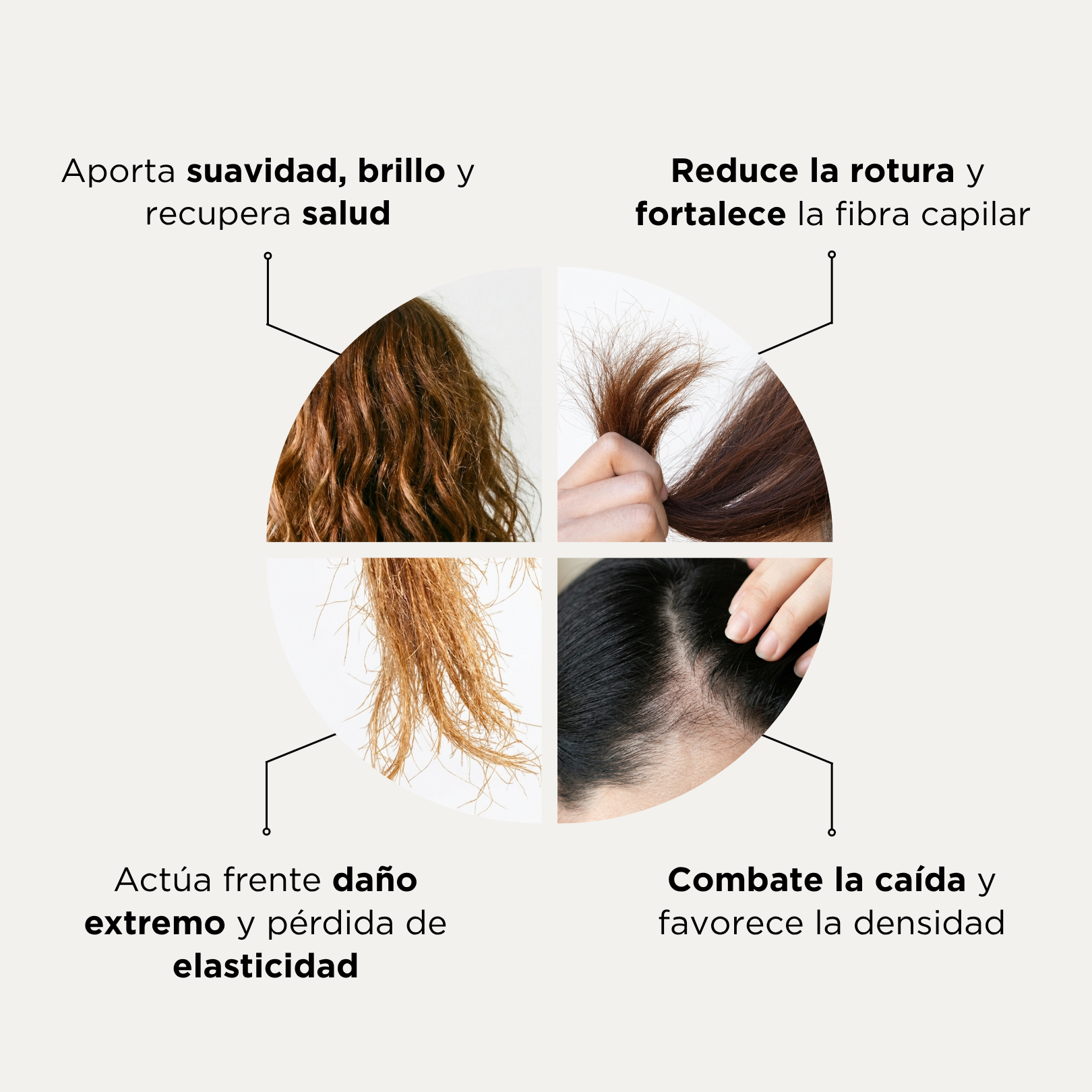 HAIR FORMULA · COLÁGENO PARA PELO · PLAN 90 DÍAS