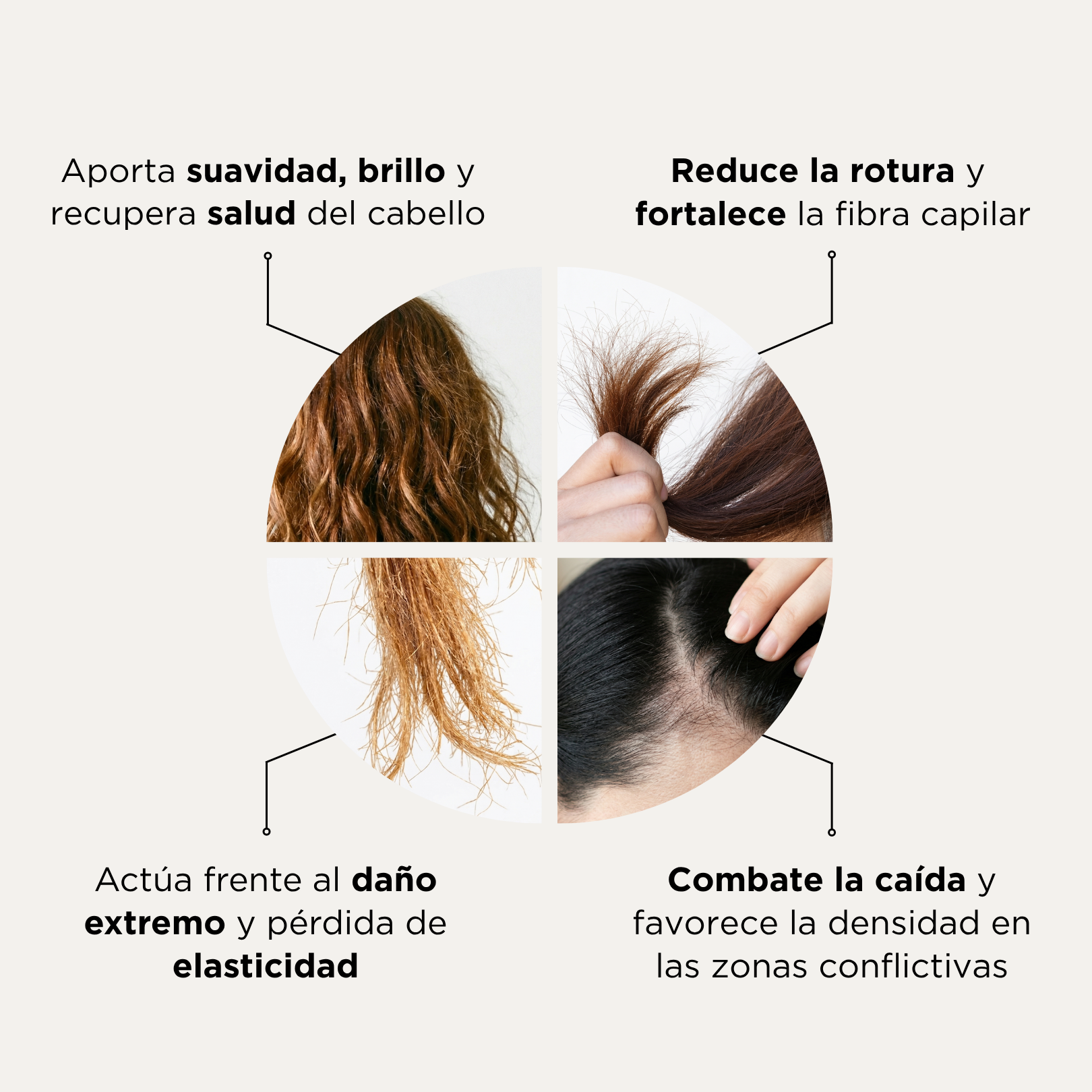HAIR FORMULA · COLÁGENO PARA PELO · PLAN 27 DÍAS