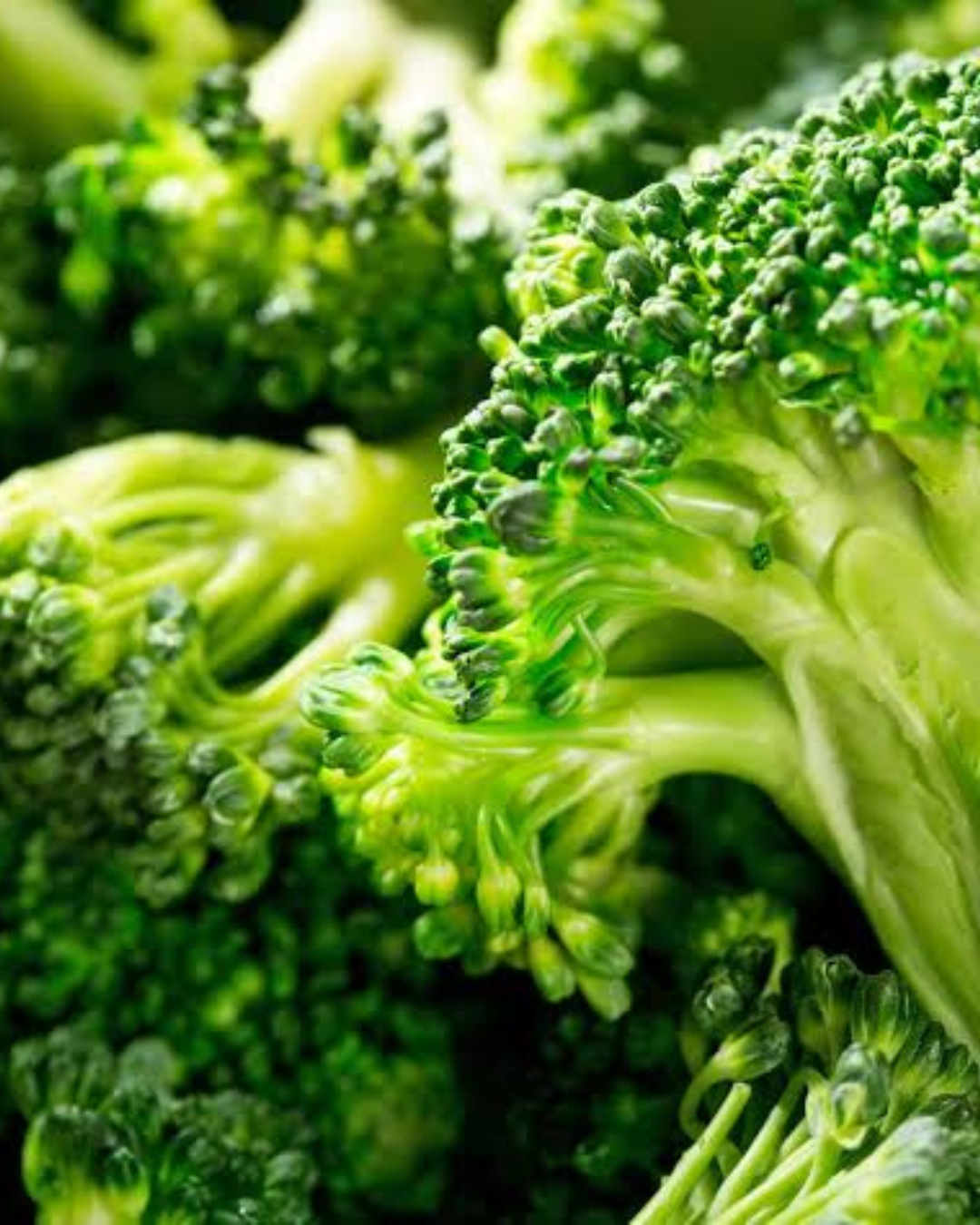 Aumento de energía con la Coenzima Q10 de SKIN MOLECULE X