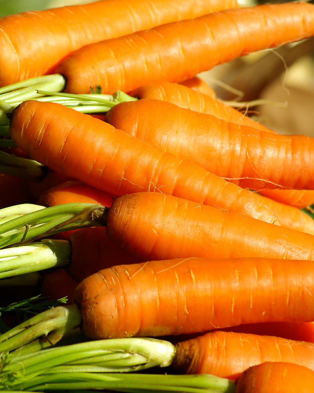 Vitamina A esencial para la formación de glóbulos rojos, el metabolismo del hierro y el funcionamiento del sistema inmunológico, con SKIN FORMULA