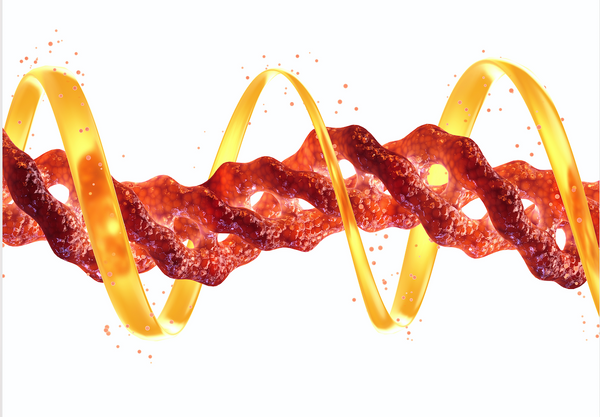 Tomar suplementos de colágeno | SKIN MOLECULE X